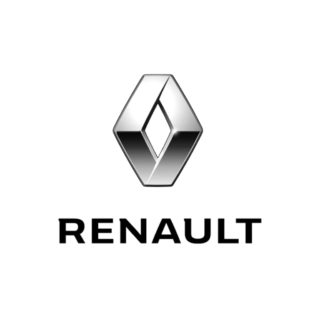 BC RENAULT D69 GRIS PLATINE LT 1